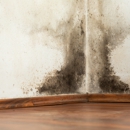 PuroClean Property Restoration Services - Water Damage Restoration