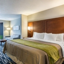 Quality Inn & Suites Ashland Near Kings Dominion - Motels
