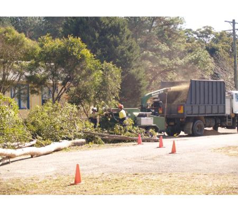 Arbpro Tree Specialists - Moonee Beach, NSW