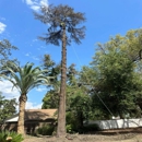 All Valley Tree Service & Landscaping, LLC - Tree Service