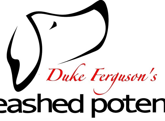 Unleashed Potential K9 Academy New Jersey - Allendale, NJ