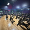 YouFit Gyms gallery