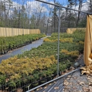 A.J.'s Evergreen Nursery - Garden Centers