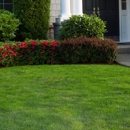Morales Landscaping & Plus - Landscaping & Lawn Services