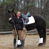 Deanna Thompson Dressage gallery