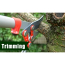 Pete's Pruning & Tree Service - Tree Service