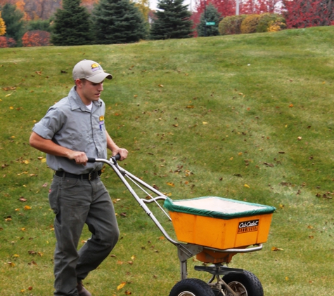 Green T Lawn Care Inc - Aurora, IL