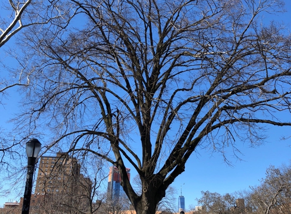 Corlears Hook Park - New York, NY