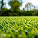 Heroes Lawn Care - Lawn Maintenance