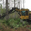 Jaguar Land Clearing gallery