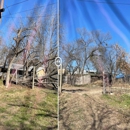 Cody's Tree Services - Tree Service