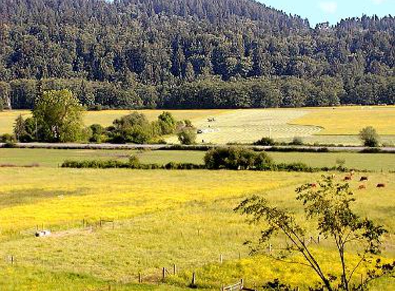 Forest Cattle Company - Sedro Woolley, WA