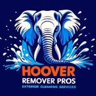Hoover Remover Pros