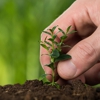 Cedar Knoll Tree Service gallery