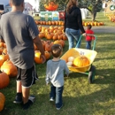 Swan Pumpkin Farm - Farms