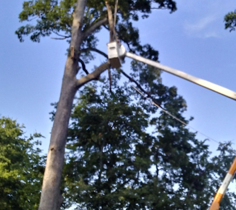 L-Bolt Professional Tree Service Co - Newburgh, IN