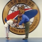 Jin Jung Kwan Hapkido-USA, Inc.