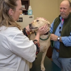 Oak Forest Veterinary Hospital