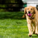 Lawn Doctor of Dover-Middletown - Pest Control Equipment & Supplies