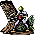 My Tree Service