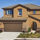Mulberry At University District By Richmond American Homes - Home Builders