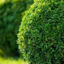 Scott's Lawn and Landscaping - Landscape Designers & Consultants