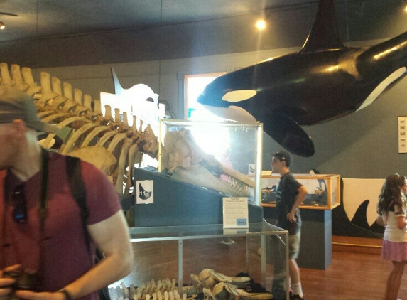 Whale Museum - Friday Harbor, WA