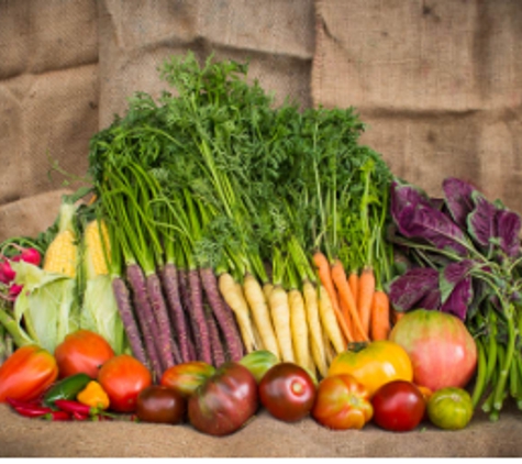 Regional Wholesale Fruit Markets - Beard, ACT