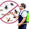 AAA Pest Control gallery