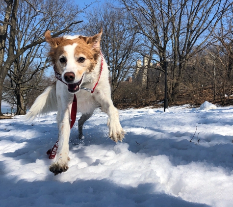 Riverside Park Fund - New York, NY