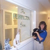 VCA Simmons Animal Hospital gallery