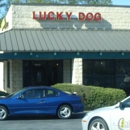 Lucky Dog Grooming - Pet Grooming