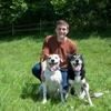 Caring Hands Animal Hospital - Tenleytown gallery