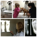 College Hills Veterinary Hospital - Veterinary Clinics & Hospitals