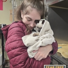 Applebrook Animal Hospital