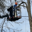 Stangel’s Tree Service LLC