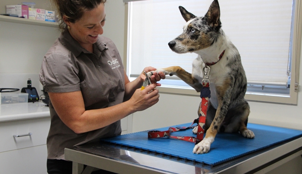 Drouin Veterinary Clinic - Drouin, VIC