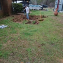 Greenscape EcoChic - Home Repair & Maintenance