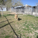 Chaparral Animal Spa - Pet Boarding & Kennels