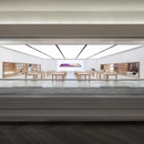 Apple Woodfield - Computer Data Recovery