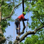 Prairieville Tree Service