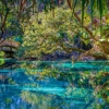 Staybridge Suites Ocala-Near Equestrian-Aquatics by IHG gallery