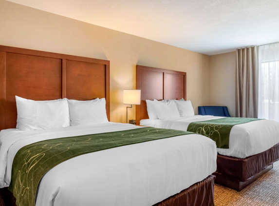 Comfort Inn & Suites Schenectady -Scotia - Schenectady, NY