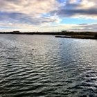 Bolsa Chica Ecological Reserve