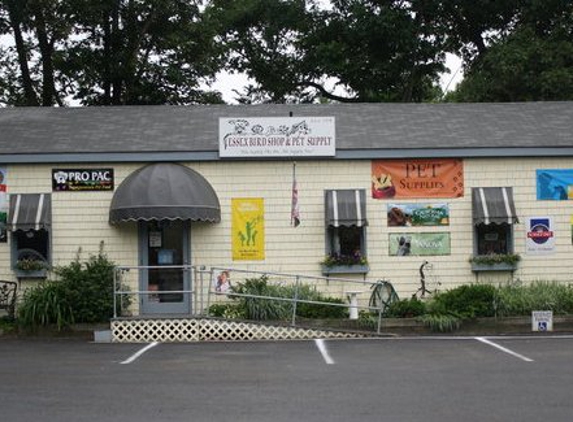 Essex Bird Shop - Essex, MA