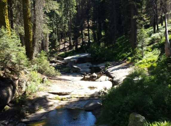 Wuksachi Lodge - Sequoia National Park, CA