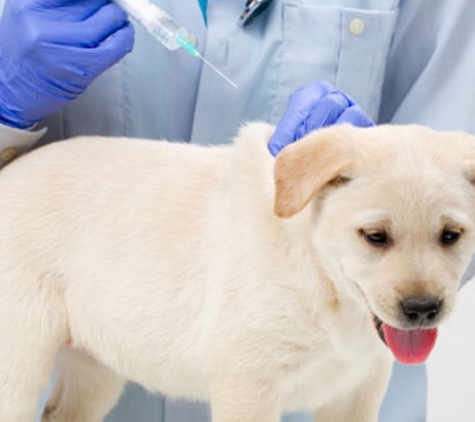Reynella Veterinary Clinic - Morphett Vale, SA