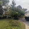 Tactical Timber Tippers Tree Service's gallery