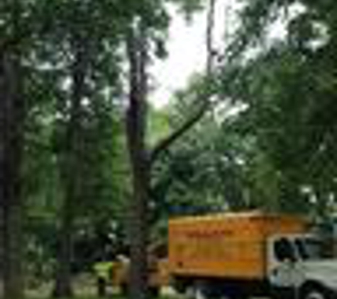 Throop & Son Tree Service - Springfield, IL