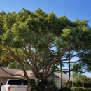 Bullie's Complete Tree Service & Landscape Design - Tree Service